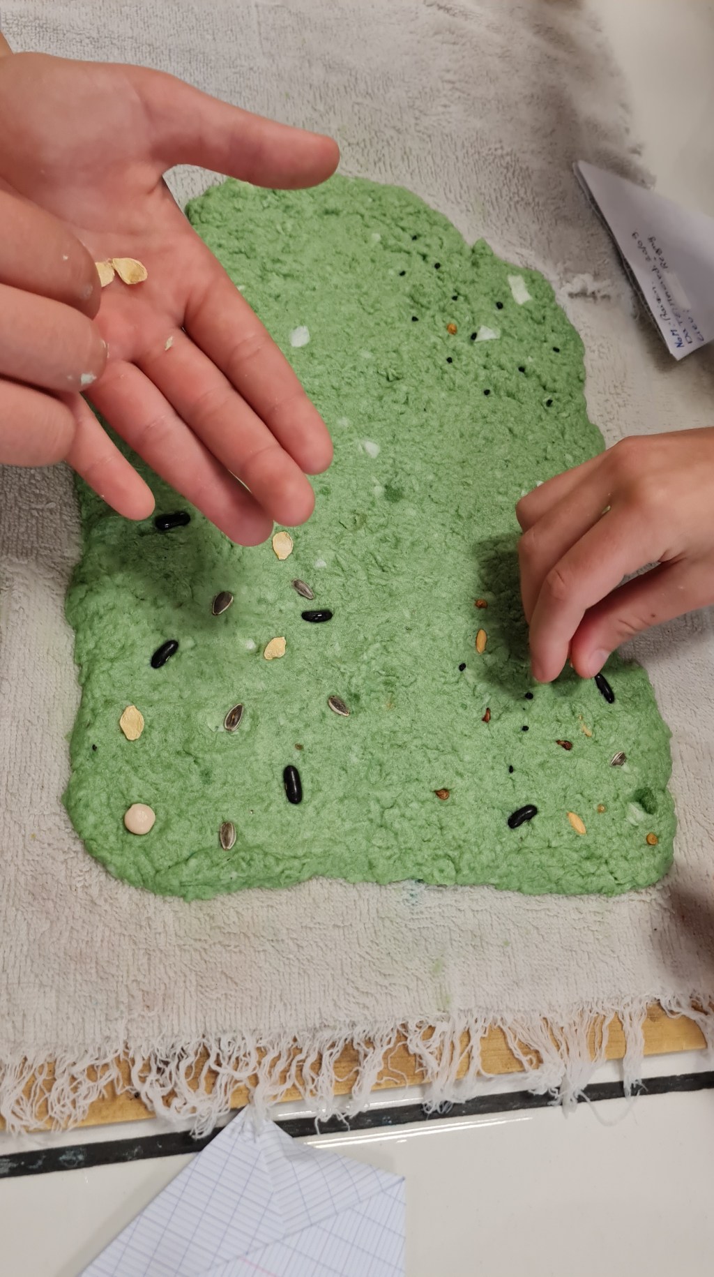 Des bombes à graines et du papier à&nbsp;semer…