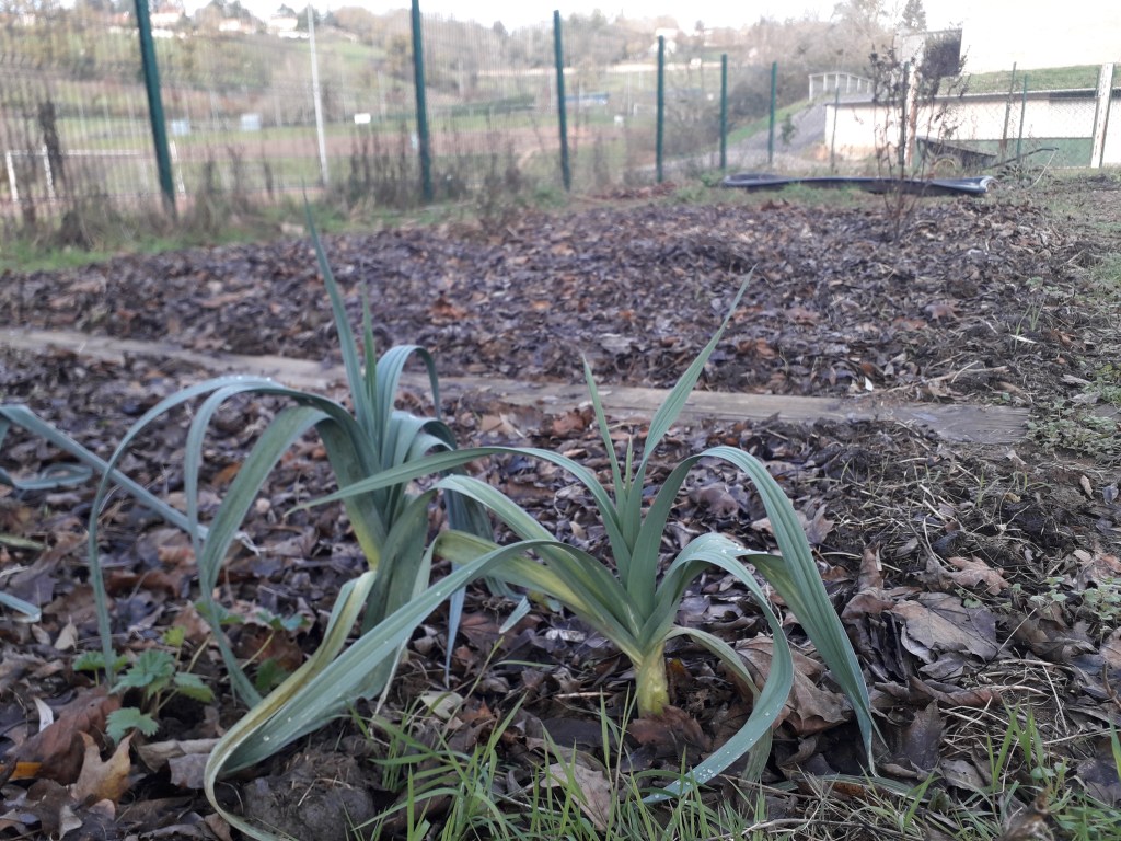 Potager automnal qui&nbsp;s&rsquo;endort