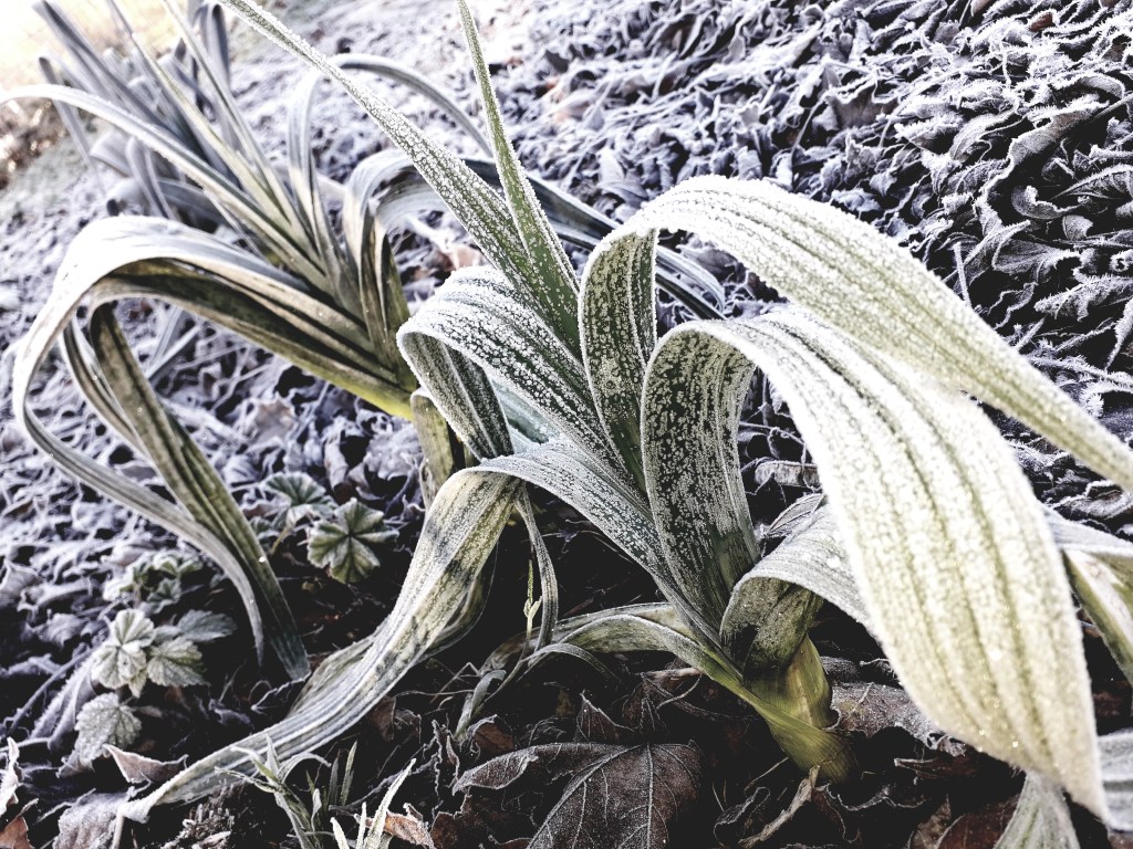 2023, en deux&nbsp;photos