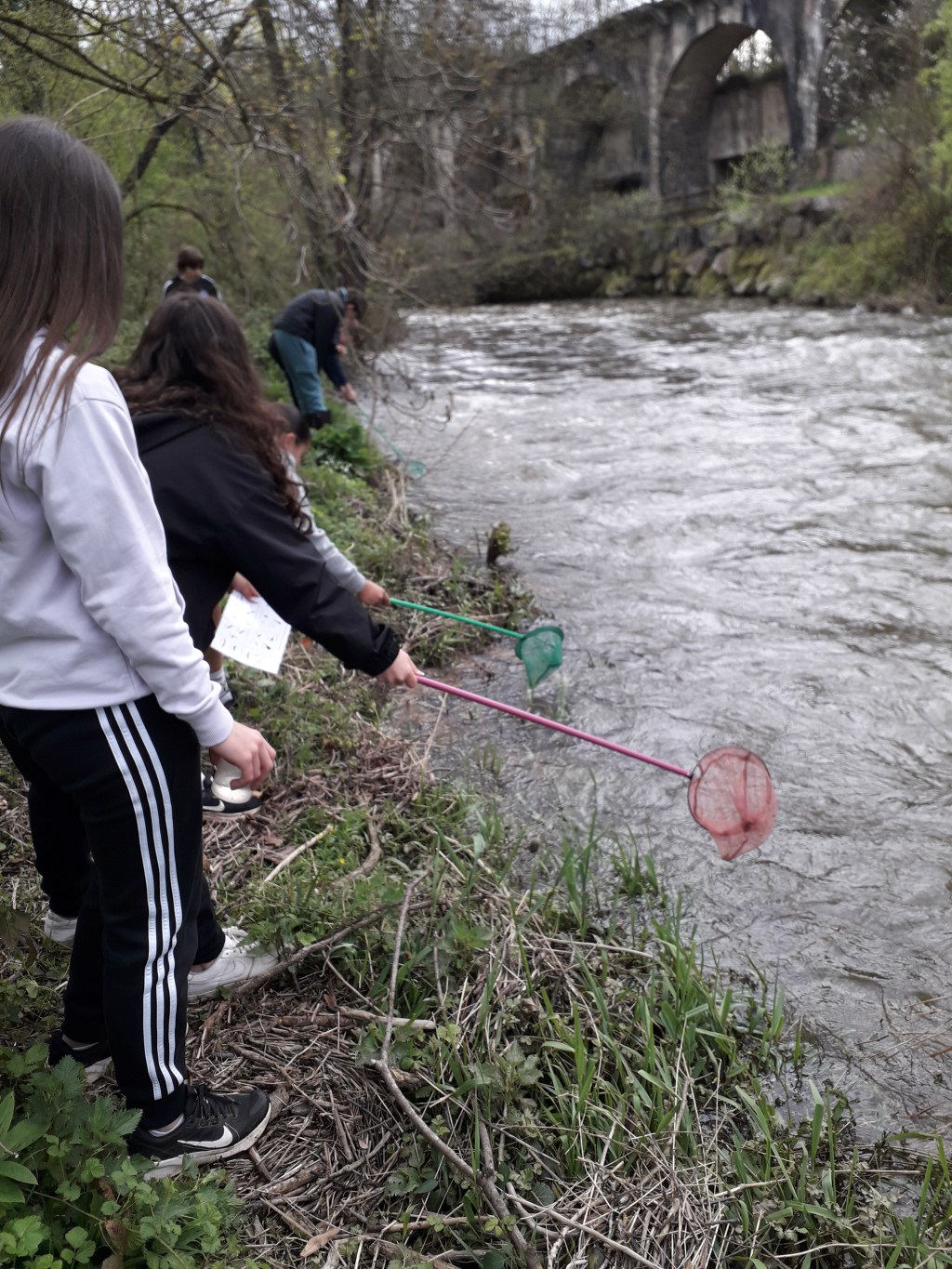 A la recherche des petites bêtes&nbsp;aquatiques