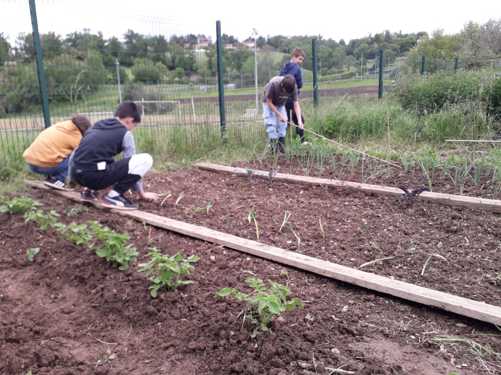 Bravo les potagistes&nbsp;!