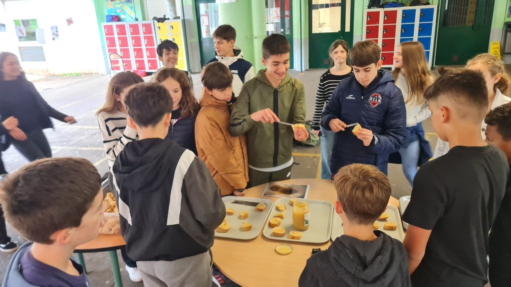 20 MAI: JOURNEE INTERNATIONALE DES&nbsp;ABEILLES