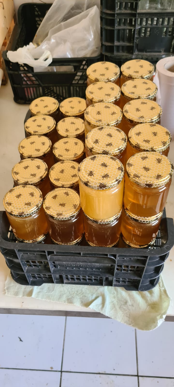 Du miel au&nbsp;collège!