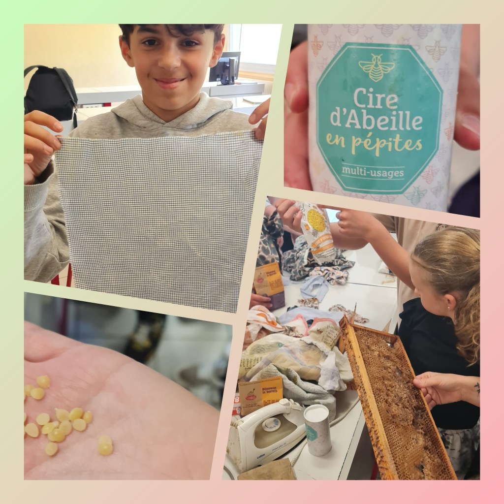 Les écodélégués se mobilisent pour l’environnement avec les bee wraps&nbsp;!