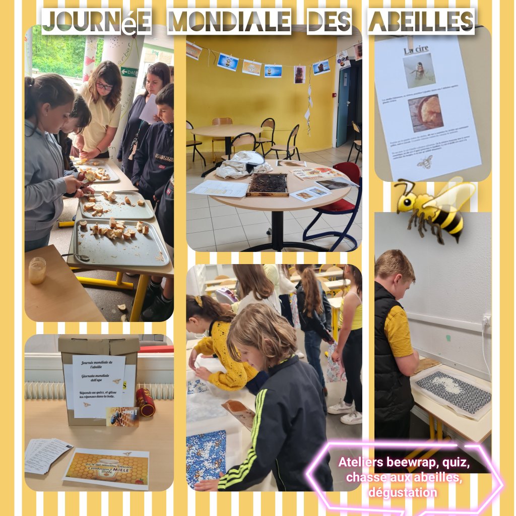 JOURNEE MONDIALE DES&nbsp;ABEILLES
