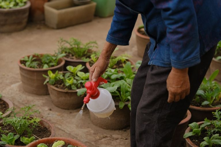 Dosage du Roundup pour 5 litres d’eau
