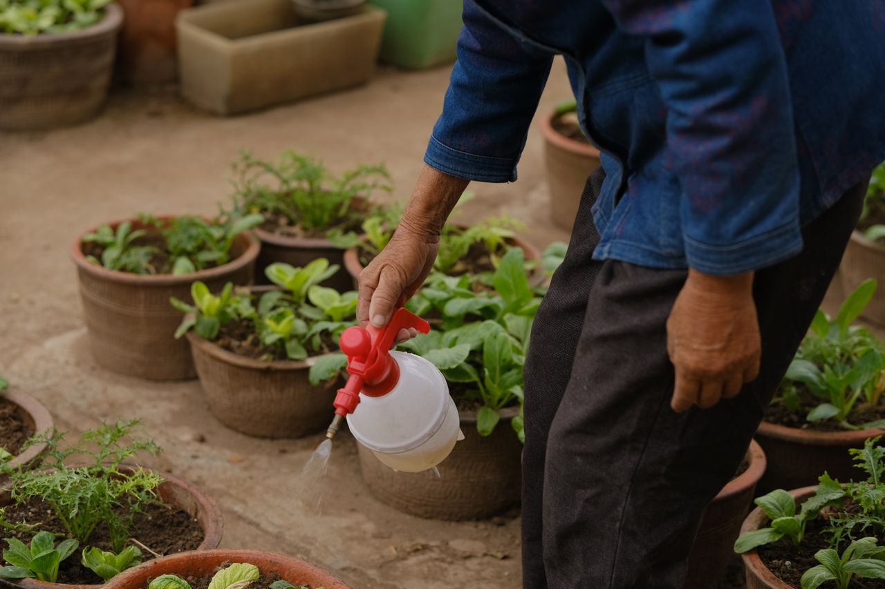 Dosage du Roundup pour 5 litres d’eau
