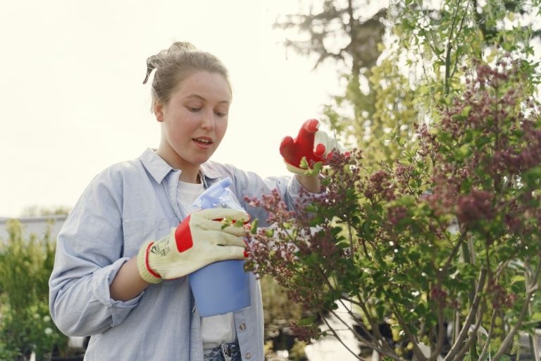 Dosage du glyphosate pour 5 L d’eau