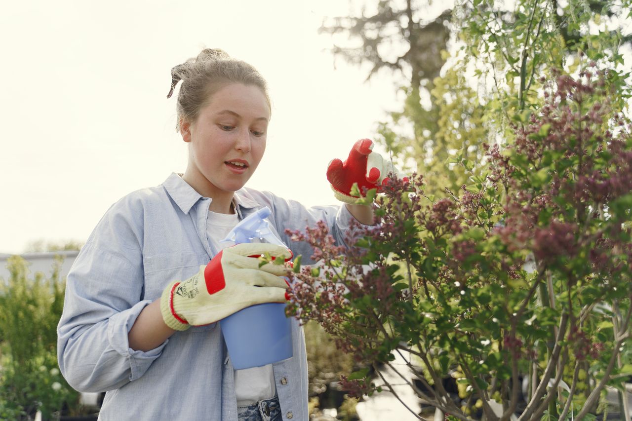 Dosage du glyphosate pour 5 L d’eau
